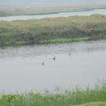 Vraj-Yatra-2014- (407)